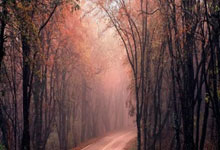 B国际体育：[图]张帅／波帕纳2-0击败对手 成功晋级澳网混双次轮.