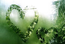 B国际体育：[国际足球]头球“戴帽” 巴西战胜厄瓜多尔.