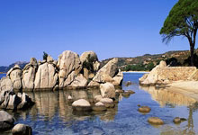 B国际体育：[CBA]常规赛3月19日：辽宁VS深圳.